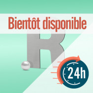 Lettres découpées en aluminium composite - 24/48 heures