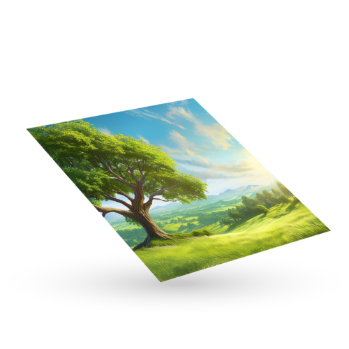 Impression numérique