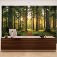 Impression murale numérique en vinyle